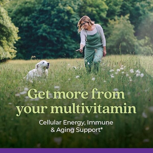 New Chapter Women's Multivitamin 40 plus for Energy, Healthy Aging + Immune Support with 20+ Nutrients -- Every Woman's One Daily 40+, Gentle on the Stomach, 72 Count - Image 3